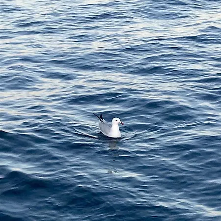 Villa Corte Del Sole *