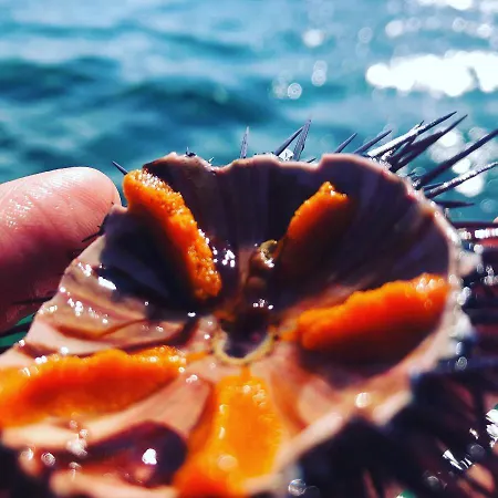 Corte Del Sole Manduria