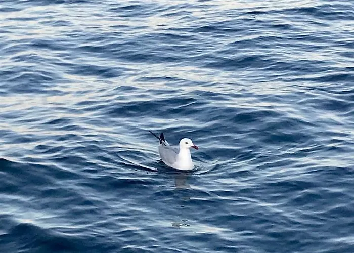 Villa Corte Del Sole *