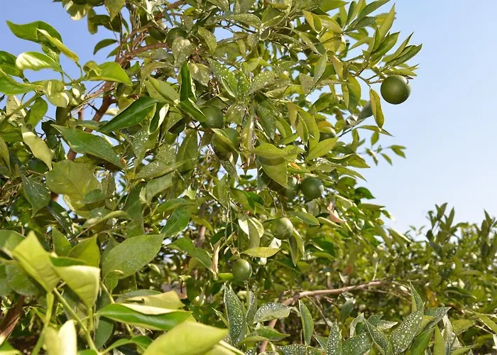 Villa Corte Del Sole Manduria